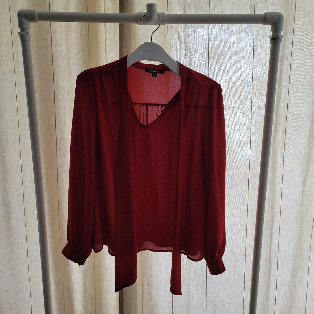 Ups and Downs Lomg sleeve sheer blouse